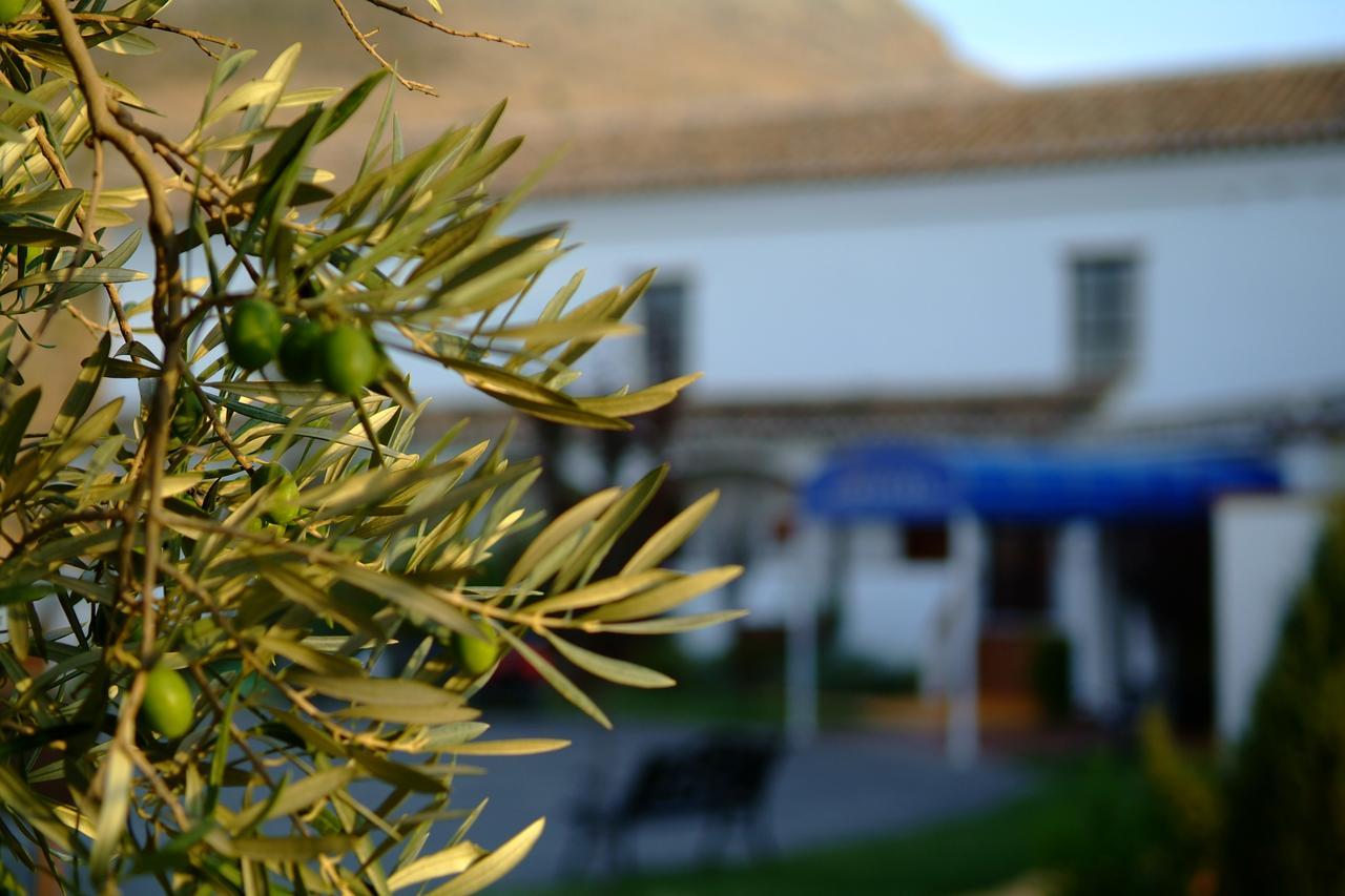 Almazara Hotell Loja Exteriör bild